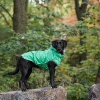 Reversible Elasto - Fit Raincoat - Green - Funny Nikko