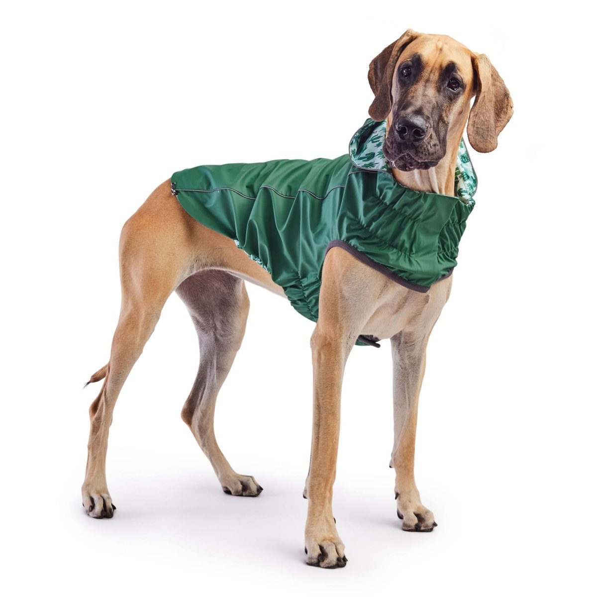 Reversible Elasto - Fit Raincoat - Green/Green - Funny Nikko