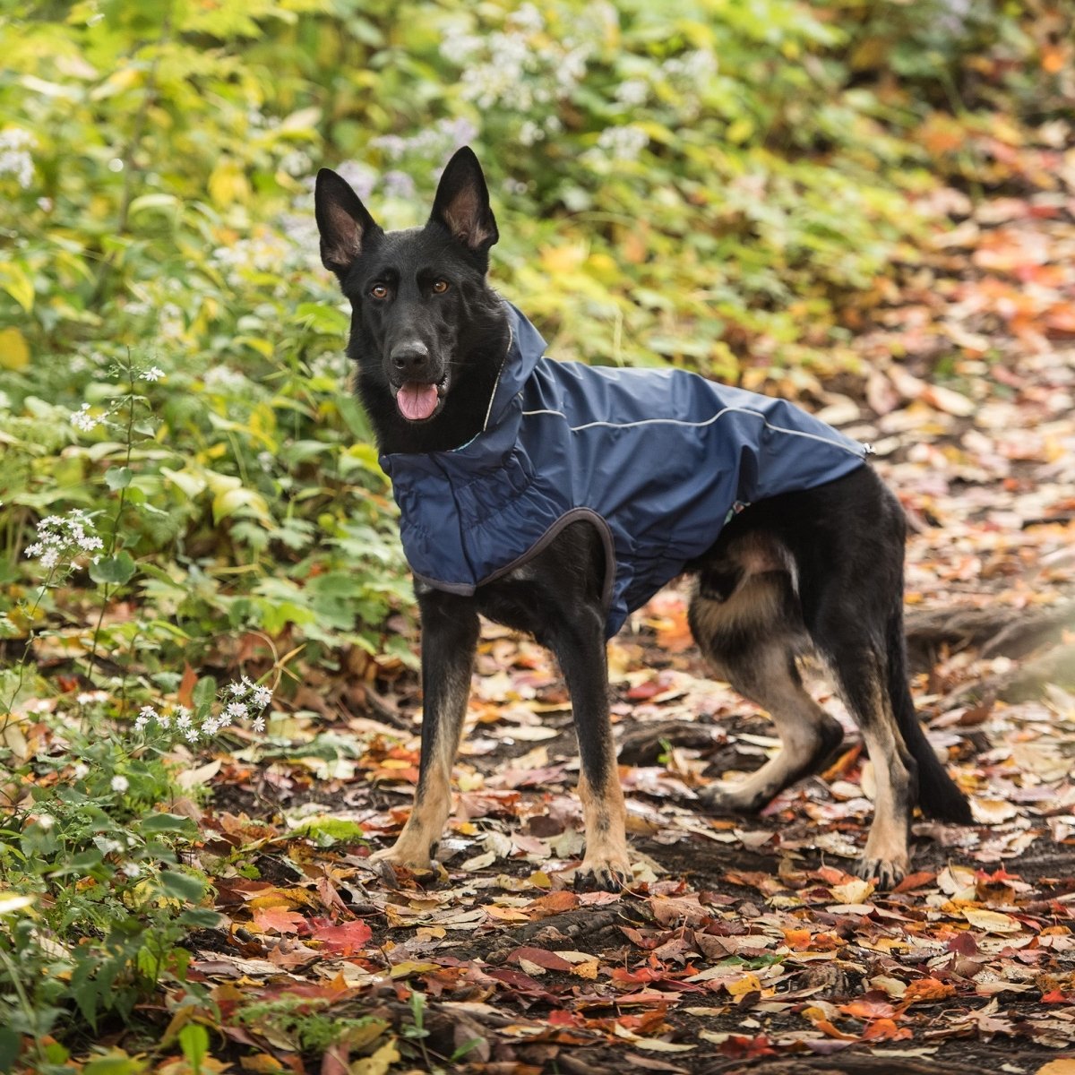 Reversible Elasto - Fit Raincoat - Navy - Funny Nikko