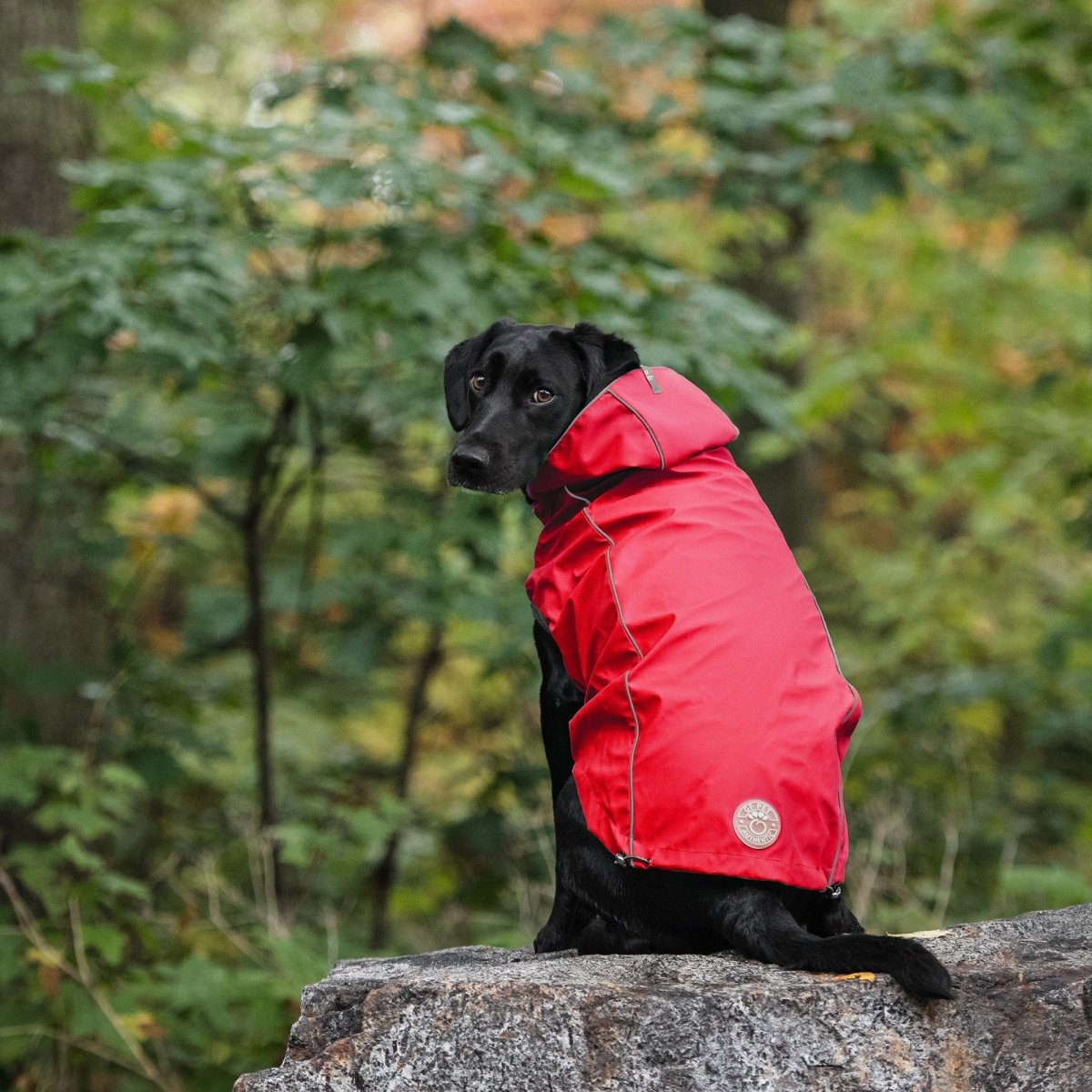 Reversible Elasto - Fit Raincoat - Red - Funny Nikko