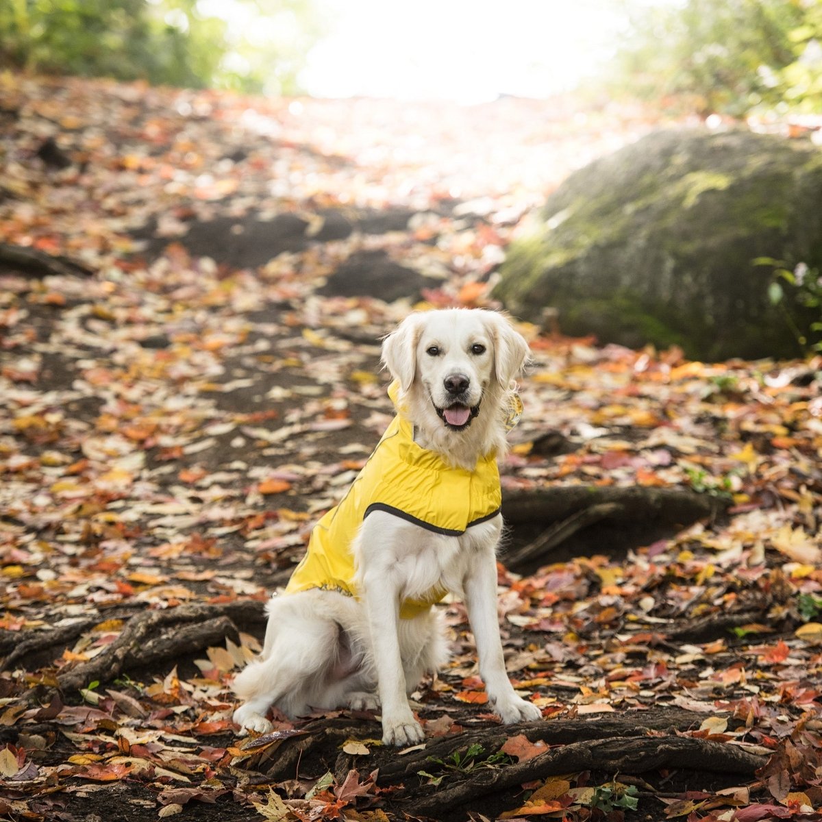 Reversible Elasto - Fit Raincoat - Yellow - Funny Nikko