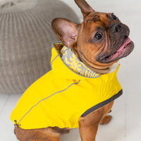 Reversible Elasto - Fit Raincoat - Yellow - Funny Nikko