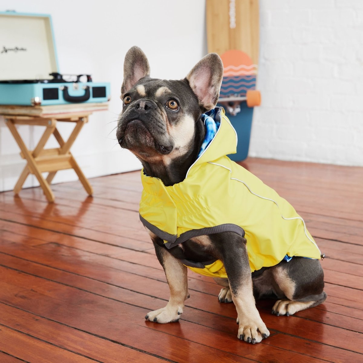 Reversible Elasto - Fit Raincoat - Yellow/Blue - Funny Nikko