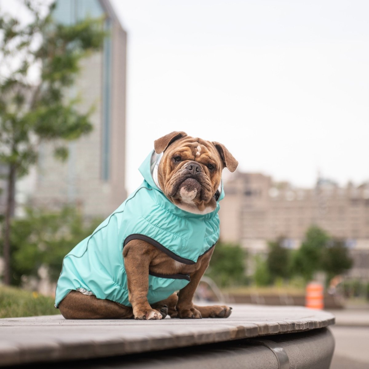 Reversible Raincoat - Neon Aqua With Iridescent - Funny Nikko