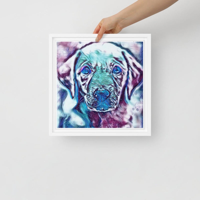 Blue Eye Lab Framed Canvas - Funny Nikko